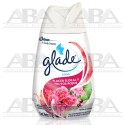 Glade® Cono Deleite Floral y Frutos Rojos 170 gr